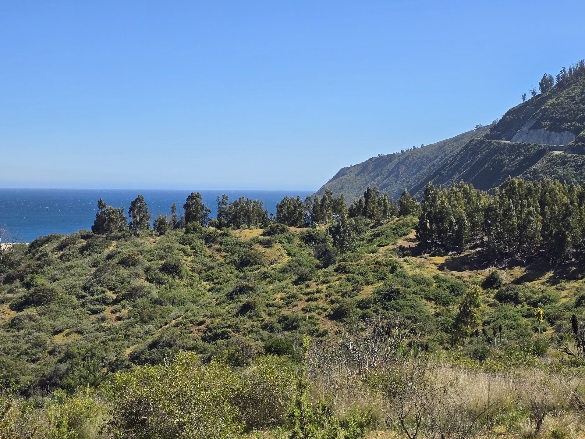 Ladera del campo con el mar al fondo